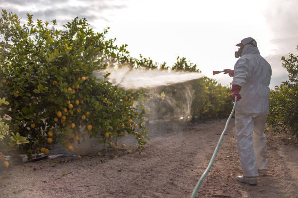 Best Pest Inspection Near Me  in Haymarket, VA