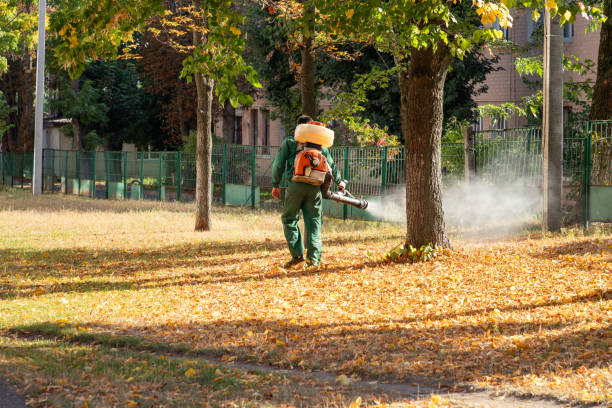Best Pest Control for Homes  in Haymarket, VA