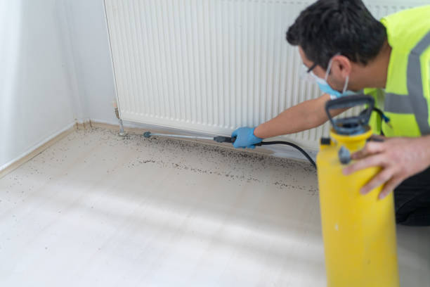 Best Local Pest Control Services  in Haymarket, VA